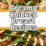 Creamy Chicken Breast Recipes