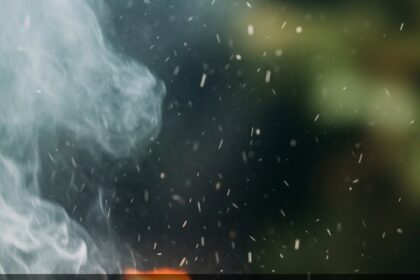 Chicken Breast On The Grill