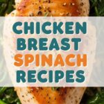 Chicken Breast Spinach Recipes