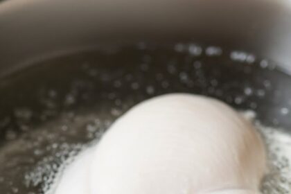 Poached Chicken Breast Recipes